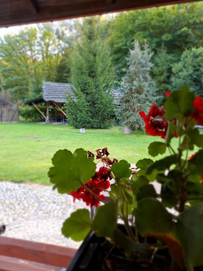 Siedlisko Lubicz Stara Chata Kazimierz Dolny Bagian luar foto